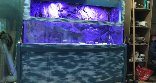 07C19550-54B3-4902-9534-236E249762E7