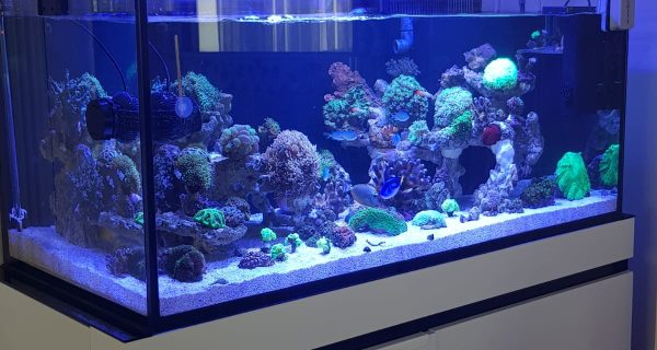 ccf2acff-e0fb-4ad2-957e-ed9b4897752e