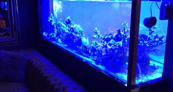 e541d081-f033-482d-8fc3-9ff0dae14c7b