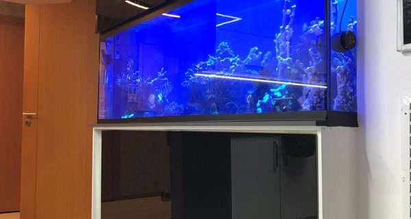 ec8250ab-7519-4271-9f37-7b60a592d70b